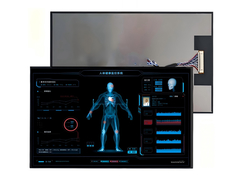 10.1-inç TFT LCD Ekranı - 800x1280 IPS, Endüstriyel ve Otomotiv için CTP.